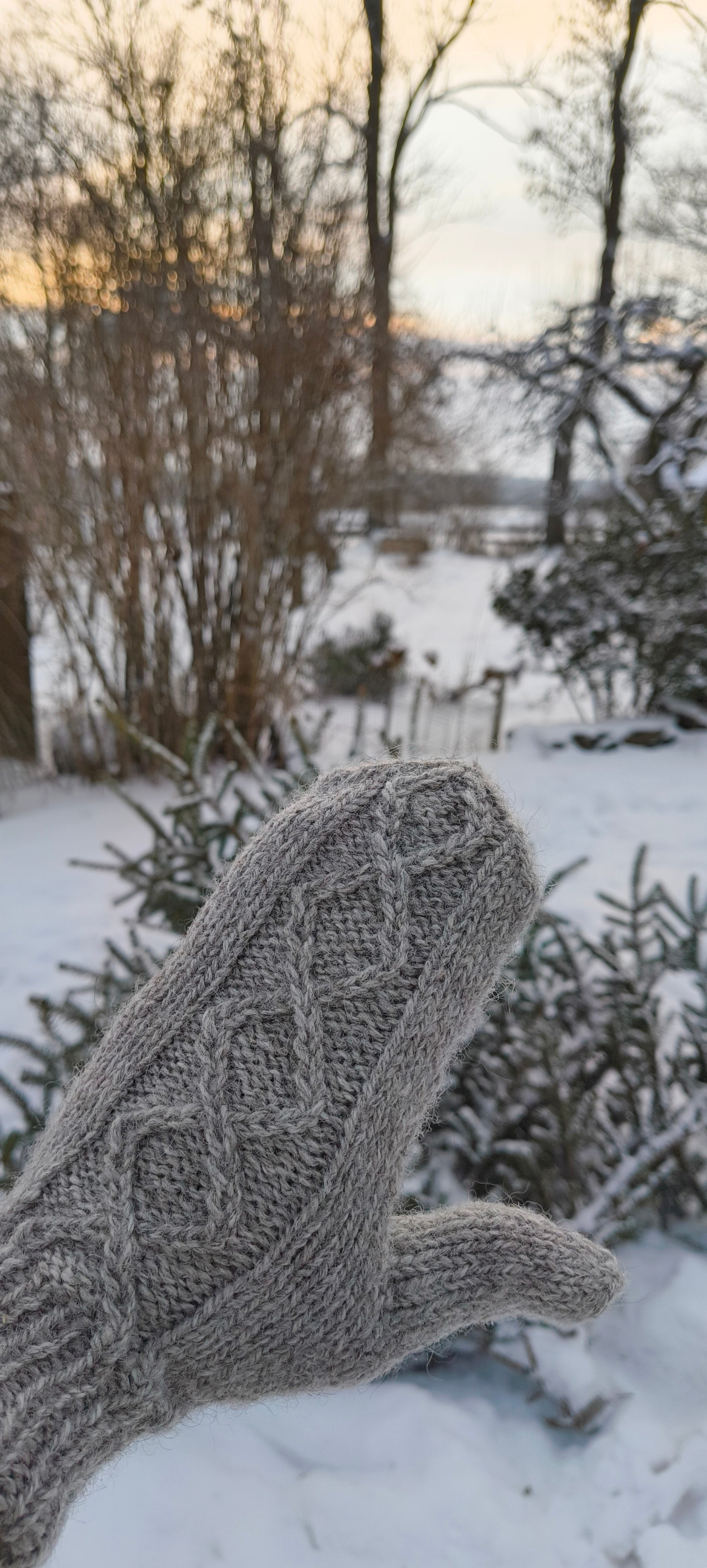 Kumštinės alpakų vilnos pirštinės