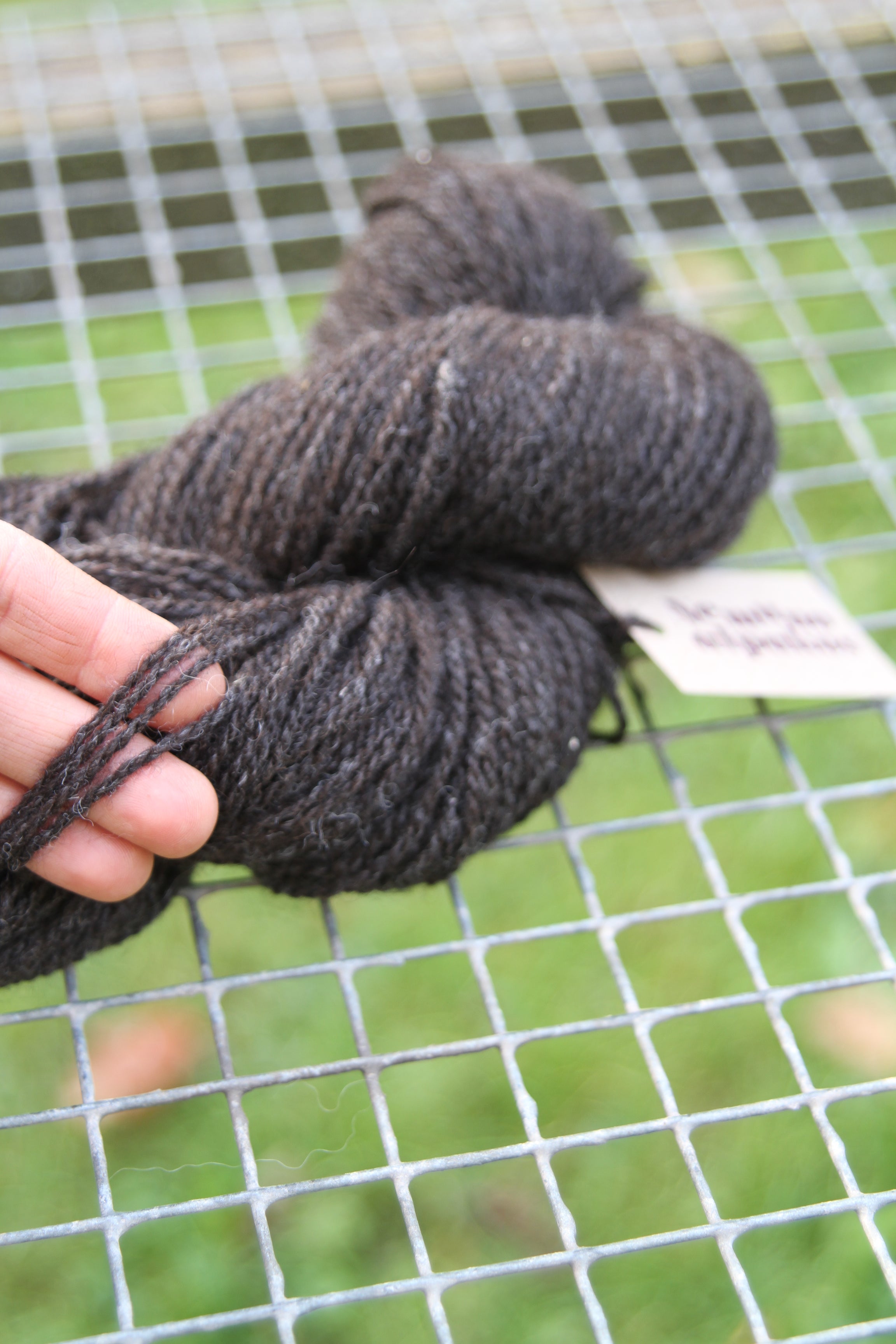 Tamsiai pilki alpakų vilnos siūlai - Nemuno alpakos