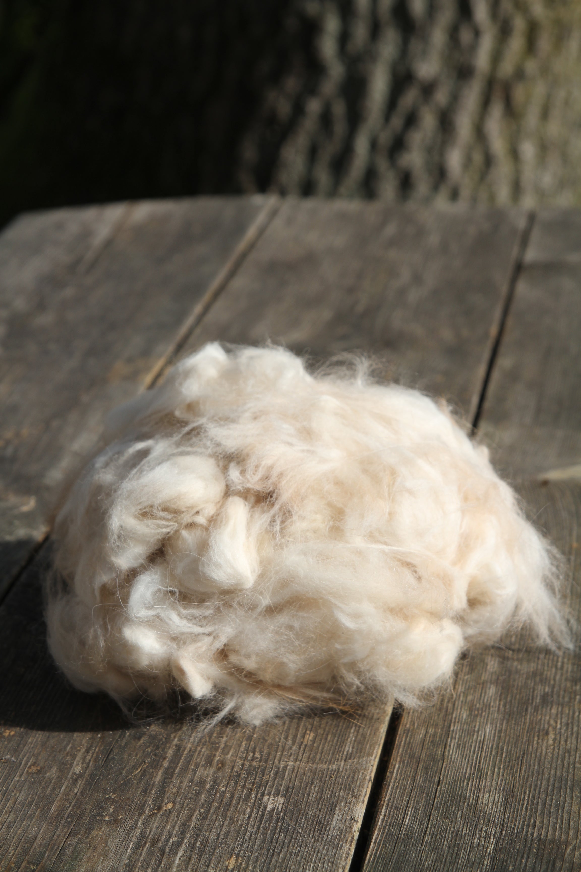 Smėlinis angoros pluoštas – 50 g - Nemuno alpakos