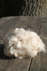 Smėlinis angoros pluoštas – 50 g - Nemuno alpakos